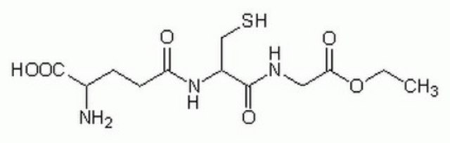 谷胱甘肽单乙酯 Cell-permeable derivative of glutathione (GSH) that undergoes hydrolysis by intracellular esterases to release GSH.