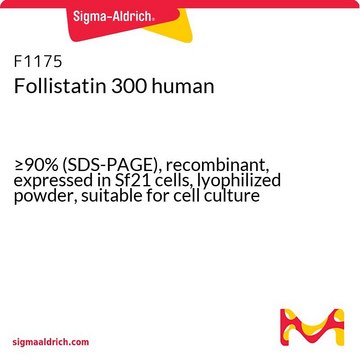 Follistatin 300 human &#8805;90% (SDS-PAGE), recombinant, expressed in Sf21 cells, lyophilized powder, suitable for cell culture