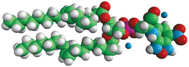 18:1 NBD PS Avanti Polar Lipids 810198C