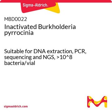 Inactivated Burkholderia pyrrocinia Suitable for DNA extraction, PCR, sequencing and NGS, &gt;10^8 bacteria/vial