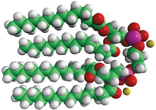 14:0 Cardiolipin (sodium salt) 1&#8242;,3&#8242;-bis[1,2-dimyristoyl-sn-glycero-3-phospho]-glycerol (sodium salt), chloroform