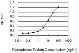 Monoclonal Anti-CCDC5, (C-terminal) antibody produced in mouse clone 1E3, purified immunoglobulin, buffered aqueous solution