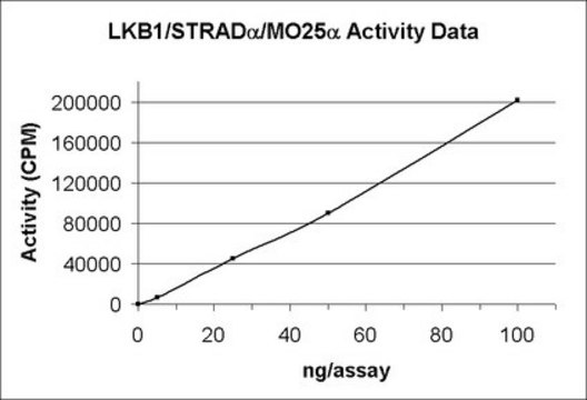 LKB1/STRAD&#945;/MO25&#945; 蛋白，活性，10 &#181;g Active, recombinant full-length human LKB1 with an N-terminal 6His tag. Provided as a complex with GST-STRAD&#945; &amp; GST-MO25&#945;. For use in Kinase Assays.