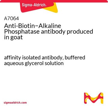 抗-生物素 affinity isolated antibody, buffered aqueous glycerol solution