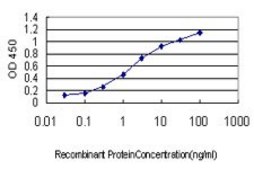 Monoclonal Anti-C6orf139 antibody produced in mouse clone 2B5-2D12, purified immunoglobulin, buffered aqueous solution
