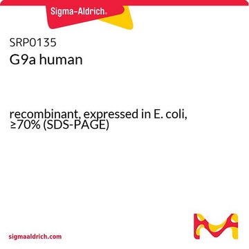 G9a human recombinant, expressed in E. coli, &#8805;70% (SDS-PAGE)