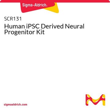 Human iPSC Derived Neural Progenitor Kit