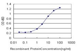 ANTI-ERN1 antibody produced in mouse clone 5F3, purified immunoglobulin, buffered aqueous solution