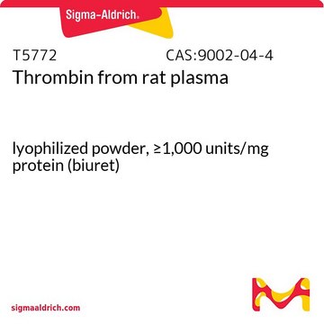 凝血酶 来源于大鼠血浆 lyophilized powder, &#8805;1,000&#160;units/mg protein (biuret)