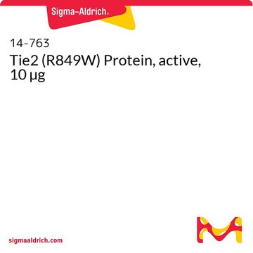 Tie2 (R849W) Protein, active, 10 µg