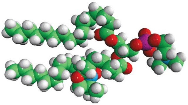 16:0-7 Doxyl PC Avanti Polar Lipids 810602P, powder