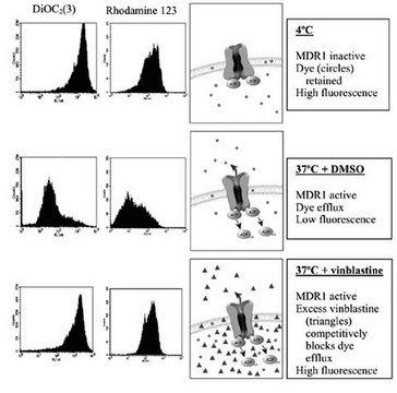 MDR1外流检测 The Multidrug Resistance Direct Dye Efflux Assay Kit includes two of the best characterized &amp; most commonly used multidrug resistance ABC transporter substrates, DiOC2(3) &amp; rhodamine 123.