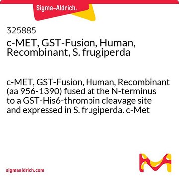 c-MET, GST-Fusion, Human, Recombinant, S. frugiperda c-MET, GST-Fusion, Human, Recombinant (aa 956-1390) fused at the N-terminus to a GST-His6-thrombin cleavage site and expressed in S. frugiperda. c-Met is a receptor tyrosine kinase activated by HGF.