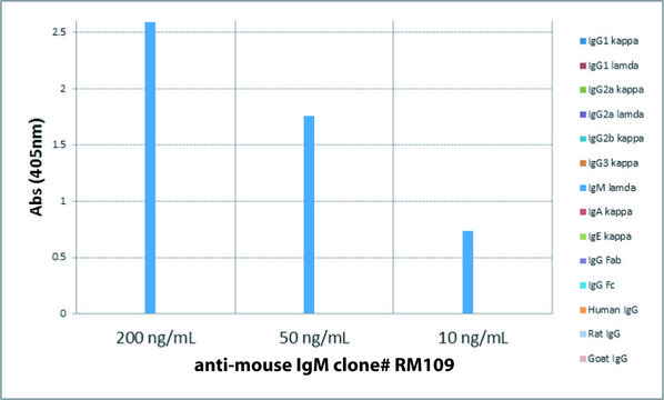 Anti-Mouse IgM-Biotin antibody, Rabbit monoclonal recombinant, expressed in HEK 293 cells, clone RM109, purified immunoglobulin