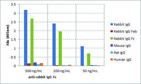 Anti-Rabbit IgG Fc-Biotin antibody, Goat monoclonal recombinant, expressed in HEK 293 cells, clone RMG02, purified immunoglobulin