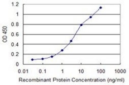 Monoclonal Anti-CREBBP antibody produced in mouse clone 2B6, purified immunoglobulin, buffered aqueous solution