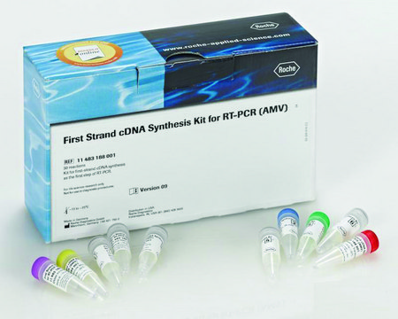 RT-PCR第一条链cDNA合成试剂盒（AMV） sufficient for 30&#160;reactions (including 5 control reactions), kit of 1 (10 components), suitable for RT-PCR, hotstart: no, dNTPs included