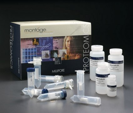 Montage Antibody Purification Kit with PROSEP-G media Antibody Purification