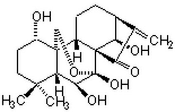 冬凌草甲素，来源于R. rubescens A cell-permeable diterpenoid compound that possesses anti NF-&#954;B activity and displays antiproliferative and antiangiogenic properties.