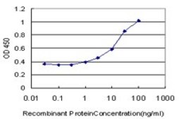 Monoclonal Anti-SLC26A5 antibody produced in mouse clone 1F4, purified immunoglobulin, buffered aqueous solution