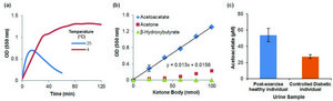 Acetoacetate Colorimetric Assay Kit Sufficient for 100 Colorimetric tests