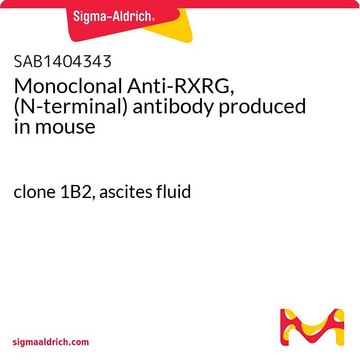 Monoclonal Anti-RXRG, (N-terminal) antibody produced in mouse clone 1B2, ascites fluid