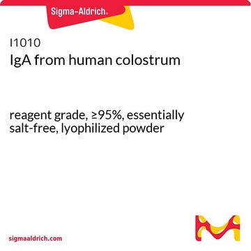 IgA 来源于人初乳 reagent grade, &#8805;95%, essentially salt-free, lyophilized powder