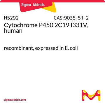 细胞色素 P450，纯化的，可溶的 recombinant, expressed in E. coli