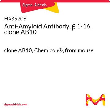 Anti-Amyloid Antibody, &#946; 1-16, clone AB10 clone AB10, Chemicon&#174;, from mouse