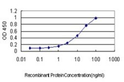 Monoclonal Anti-BRMS1 antibody produced in mouse clone M1, purified immunoglobulin, buffered aqueous solution