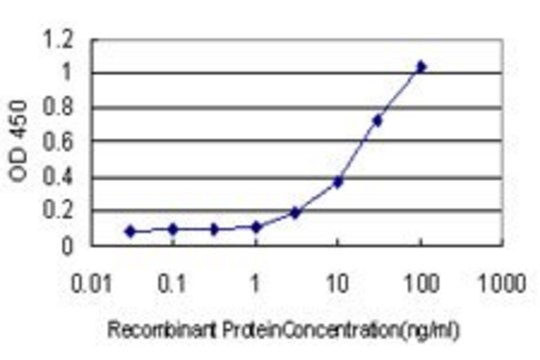 Monoclonal Anti-TP53BP1 antibody produced in mouse clone 1B9, purified immunoglobulin, buffered aqueous solution