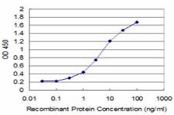Monoclonal Anti-ID1 antibody produced in mouse clone 1D9, purified immunoglobulin, buffered aqueous solution