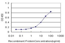 Monoclonal Anti-MAML2 antibody produced in mouse clone 4A1, purified immunoglobulin, buffered aqueous solution