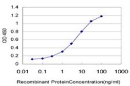 Monoclonal Anti-BTBD1 antibody produced in mouse clone 3E11, purified immunoglobulin, buffered aqueous solution