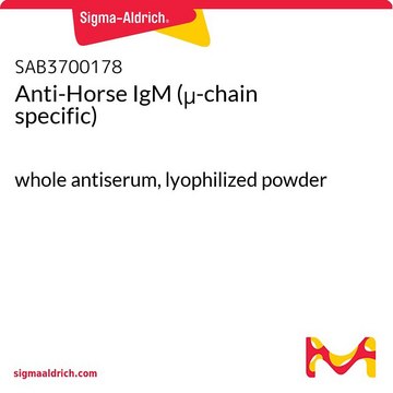 Anti-Horse IgM (&#956;-chain specific) whole antiserum, lyophilized powder