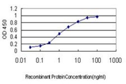 Monoclonal Anti-MS4A1 antibody produced in mouse clone 5C11, purified immunoglobulin, buffered aqueous solution