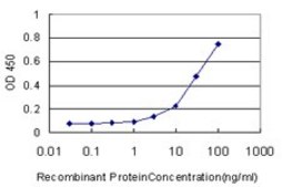 Monoclonal Anti-FUT10 antibody produced in mouse clone 4H3, purified immunoglobulin, buffered aqueous solution