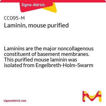 层粘连蛋白，小鼠纯化 Laminins are the major noncollagenous constituent of basement membranes. This purified mouse laminin was isolated from Engelbreth-Holm-Swarm (EHS) mouse sarcoma, a mouse tumor that produces large amounts of basement membranes.