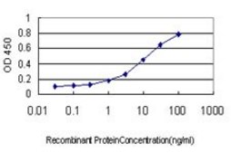 Monoclonal Anti-NTRK2 antibody produced in mouse clone 3D12, purified immunoglobulin, buffered aqueous solution