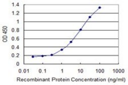 Monoclonal Anti-KCNIP1 antibody produced in mouse clone 3D9, purified immunoglobulin, buffered aqueous solution