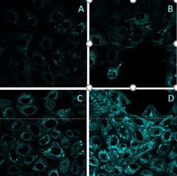 BioTracker&#8482; Blue TFCH Oxidative Stress Probe