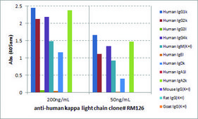 Anti-Human Kappa Light Chain antibody, Rabbit monoclonal recombinant, expressed in HEK 293 cells, clone RM126, purified immunoglobulin