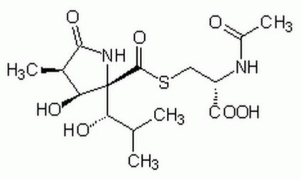 Lactacystin, Synthetic Lactacystin, Synthetic, CAS 1258004-00-0, is an irreversible inhibitor of 20S proteasome inhibitor (IC&#8325;&#8320; = 500 nM). A covalent inhibitor of the chymotrypsin &amp; trypsin-like activities of proteasome.