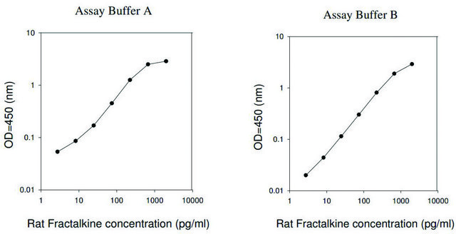 Rat Fractalkine ELISA Kit for serum, plasma and cell culture supernatant