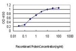 Monoclonal Anti-SH3RF2 antibody produced in mouse clone 4E10, purified immunoglobulin, buffered aqueous solution