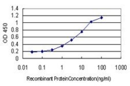 Monoclonal Anti-HOXA7 antibody produced in mouse clone 2F2, purified immunoglobulin, buffered aqueous solution