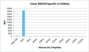 Anti-Acetyl-Histone H3 (Lys4) antibody, Rabbit monoclonal recombinant, expressed in HEK 293 cells, clone RM149, purified immunoglobulin