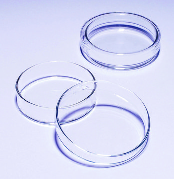 Pyrex&#174; Petri dish diam. × H 120&#160;mm × 20&#160;mm