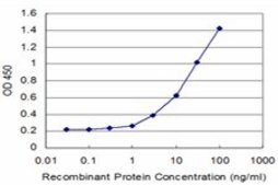 Monoclonal Anti-MPHOSPH9, (C-terminal) antibody produced in mouse clone 4E10, purified immunoglobulin, buffered aqueous solution