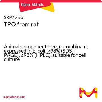 TPO from rat Animal-component free, recombinant, expressed in E. coli, &#8805;98% (SDS-PAGE), &#8805;98% (HPLC), suitable for cell culture